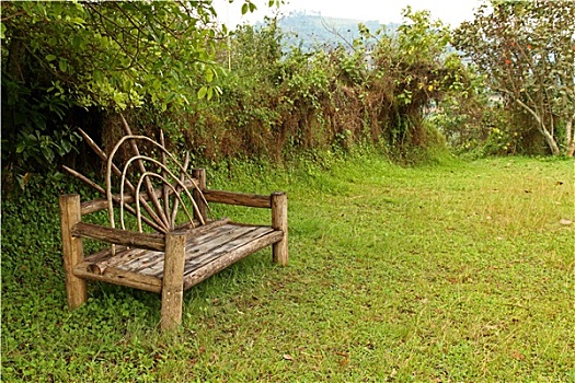 独特,木制长椅,草地