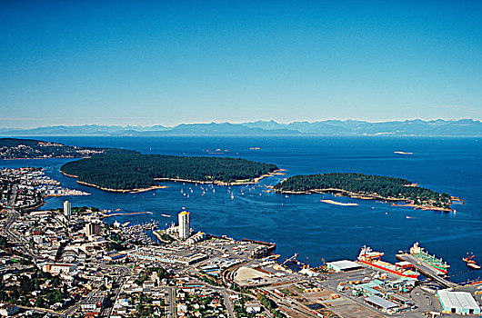航拍,港口,温哥华岛,不列颠哥伦比亚省,加拿大
