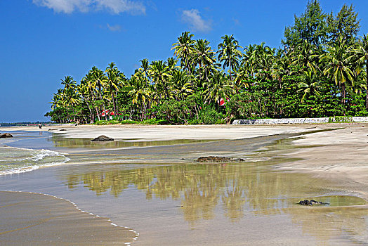 棕榈海滩,湾,孟加拉,印度洋,缅甸