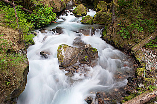 水,流动,上方,苔藓,石头,北瀑布国家公园,华盛顿,美国