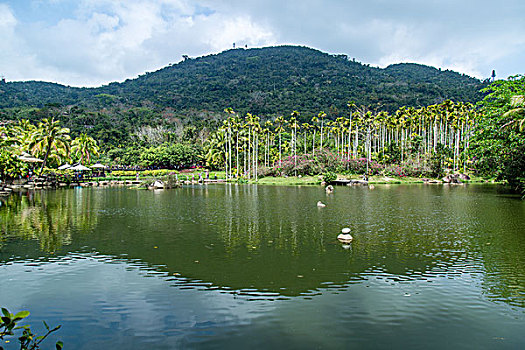 海南呀诺达风景区的自然美景