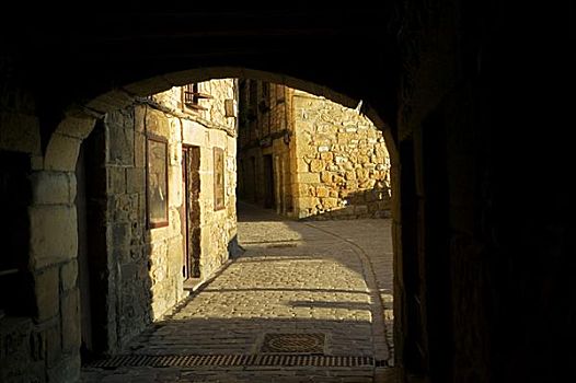 拱形,入口,鹅卵石,小路,西班牙