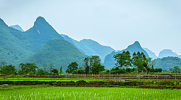 田园风光