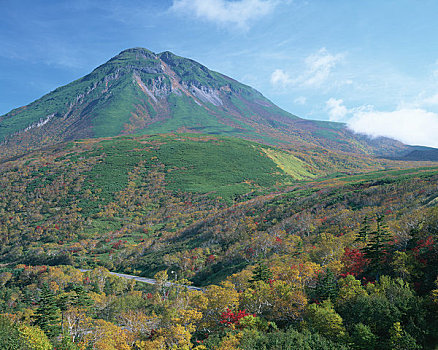 山