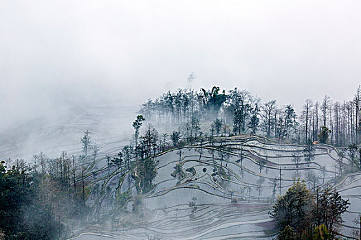 云南红河元阳梯田