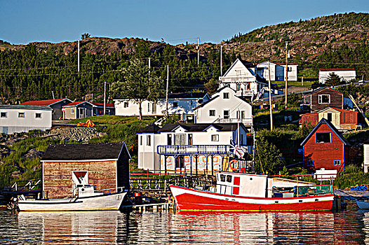 船,港口,小路,半岛,纽芬兰,拉布拉多犬,加拿大