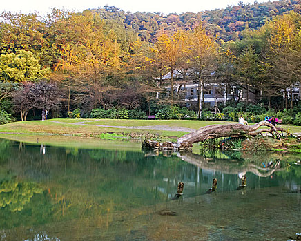 浙江省杭州西湖风景名胜区－太子湾公园