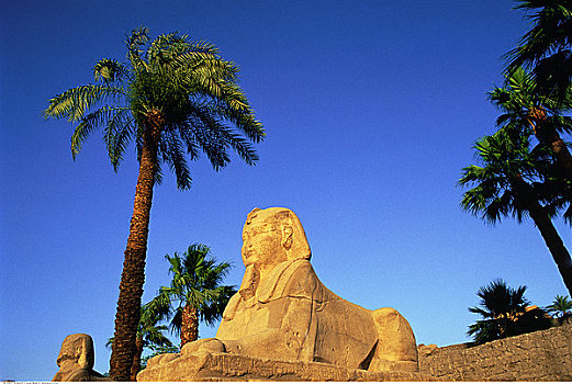 道路,狮身人面像,卢克索神庙,路克索神庙,埃及