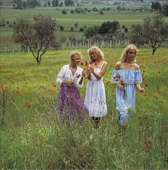 女人,摘花,70年代,场景,草地