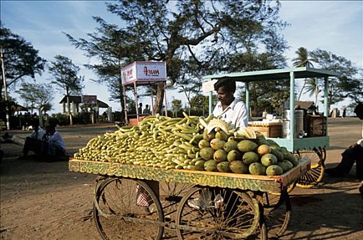 印度,卖蔬菜,人,木质,手推车