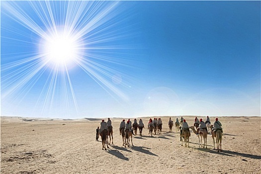 撒哈拉沙漠,太阳,旅游