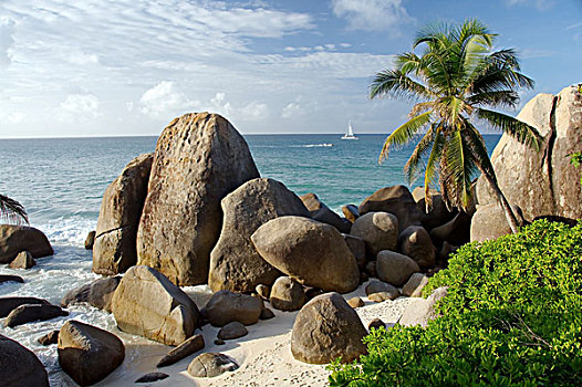 石头,海滩,马埃岛,塞舌尔,非洲