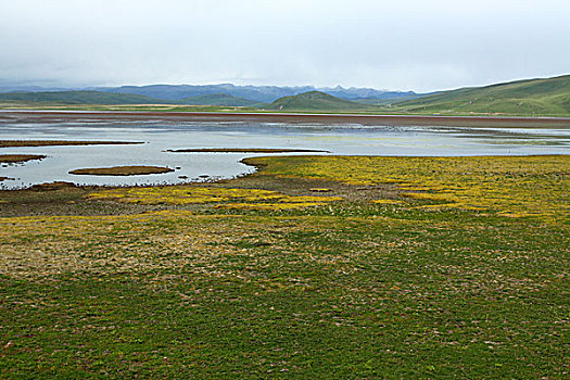 甘南,唐克,小镇,山黄河,九曲黄河,旅游区,若尔盖草原