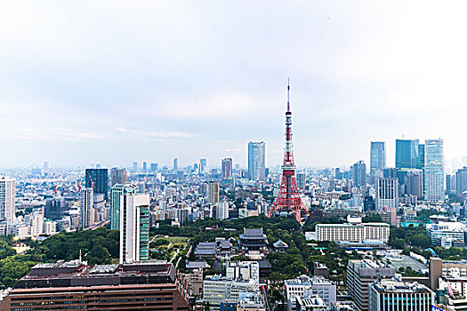 城市,天际线,靠近,东京塔,云,天空