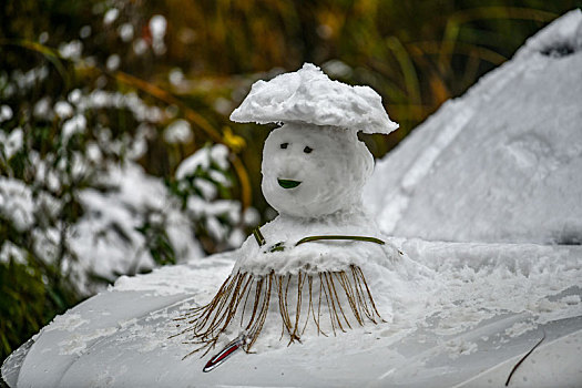 重庆酉阳,又见瑞雪兆丰年