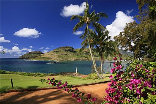 海滩,棕榈树,高尔夫球场,后面,胜地,岛屿,夏威夷,美国