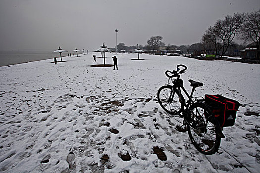 雪,海边,下雪,大海,沙滩,童话,安静,干净,秦皇岛,北戴河