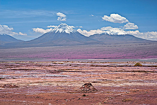 云,高处,火山,阿塔卡马沙漠,智利,荒芜,土地,风景,淡色调,彩色