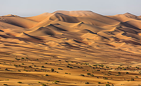 沙丘,沙漠,靠近,空,区域,阿联酋,亚洲