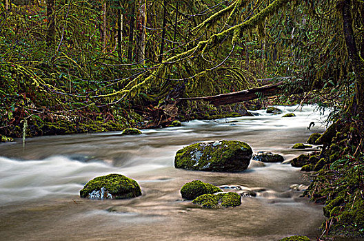 河,省立公园,维多利亚,不列颠哥伦比亚省,加拿大