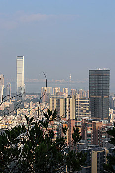 深圳市景观