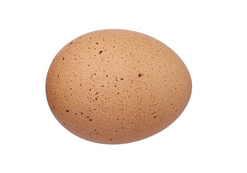 红皮鸡蛋,隔绝,白色背景,背景