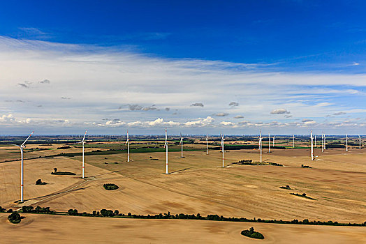 风电场,勃兰登堡,德国,欧洲