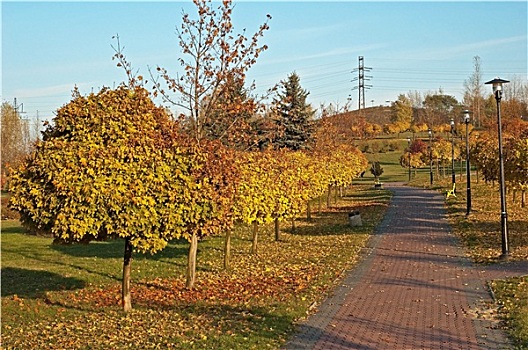 秋天,公园,小路