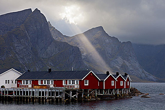 小屋,峡湾,阳光,罗弗敦群岛,挪威