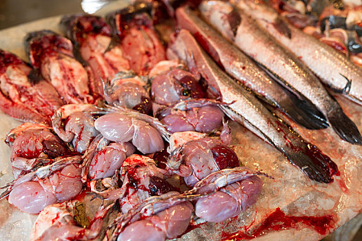 鱼肉,湿,市场