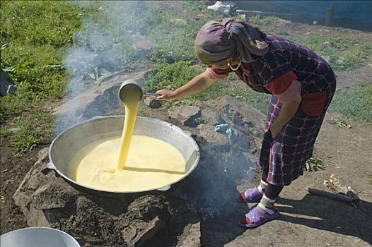 游牧,烹调,牛奶,干酪制作,吉尔吉斯斯坦