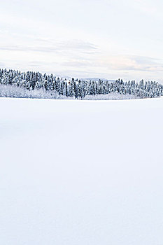 雪景,特隆赫姆,挪威