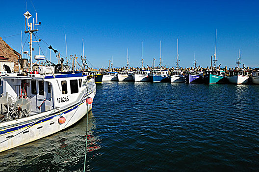 渔船,港口,帽,马格达伦群岛,魁北克,加拿大,北美