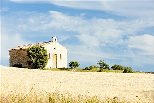 小教堂,庄稼地,瓦伦索高原,普罗旺斯,法国