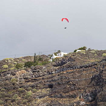 滑翔伞,峭壁,波多黎各,帕尔玛,加纳利群岛,西班牙