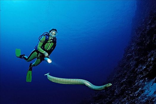 潜水者,巴布亚新几内亚,太平洋