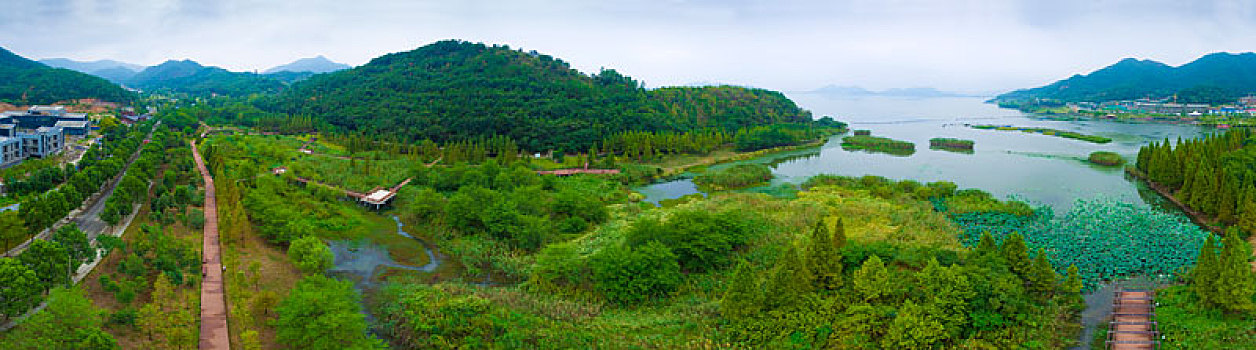 航拍,湖泊,湿地,绿色,全景