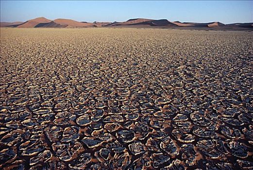 缝隙,淤泥滩,纳米布沙漠,纳米比亚