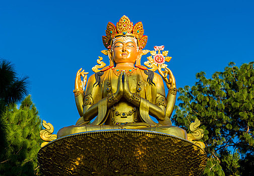大,金色,雕塑,佛,背影,四眼天神庙,加德满都,尼泊尔,亚洲