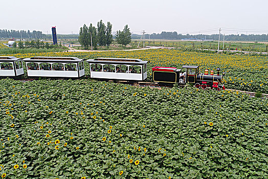 穿越爱情隧道的小火车