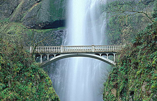 马尔特诺马瀑布,后面,桥,上方,苔藓,石头,山,帽子,国家森林,哥伦比亚河峡谷国家风景区