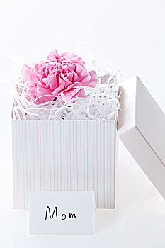 康乃馨,花,礼盒