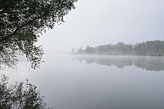 湖,早晨,雾气,春天,弗兰克尼亚,巴登符腾堡,德国