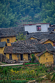老屋，土墻，建筑群，路，路面，土房，農村，磚瓦房