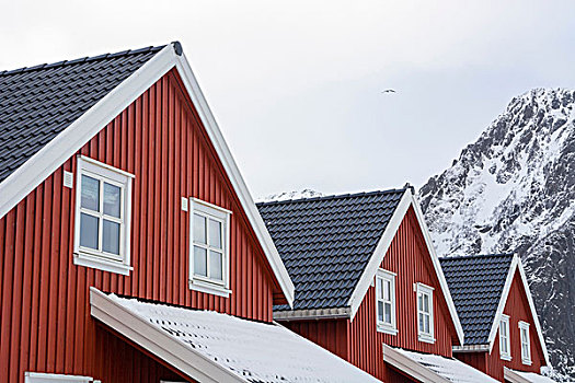 特写,三个,房子,雪山,罗浮敦群岛,挪威