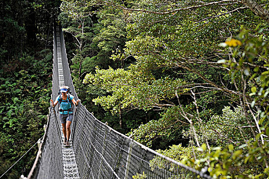 女性,远足,穿过,步行桥,新西兰