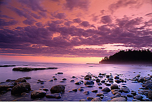 密歇根,溪流,日落,环太平洋国家公园,不列颠哥伦比亚省,加拿大