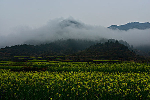 江南雾里乡村