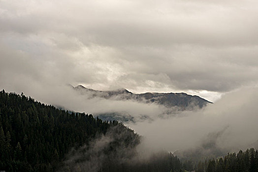 秋天,山,瑞士