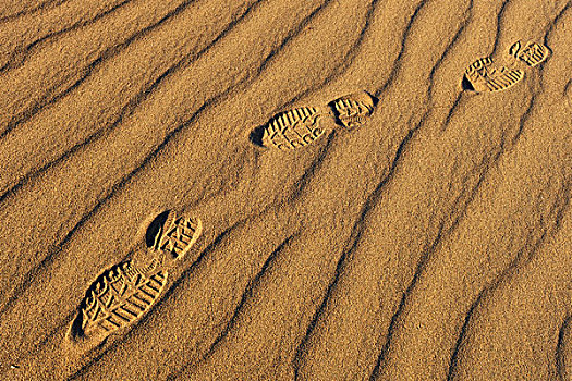 脚印,沙,豆科灌木,沙子,沙丘,大礼帽,死亡谷国家公园,莫哈维沙漠,加利福尼亚,美国